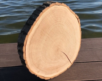 Large Rustic Wood Slices 6 cm Thick OAK With Bark Decoration Cake Stand Wedding Interior Design Serving Board Garden Terrace Balcony