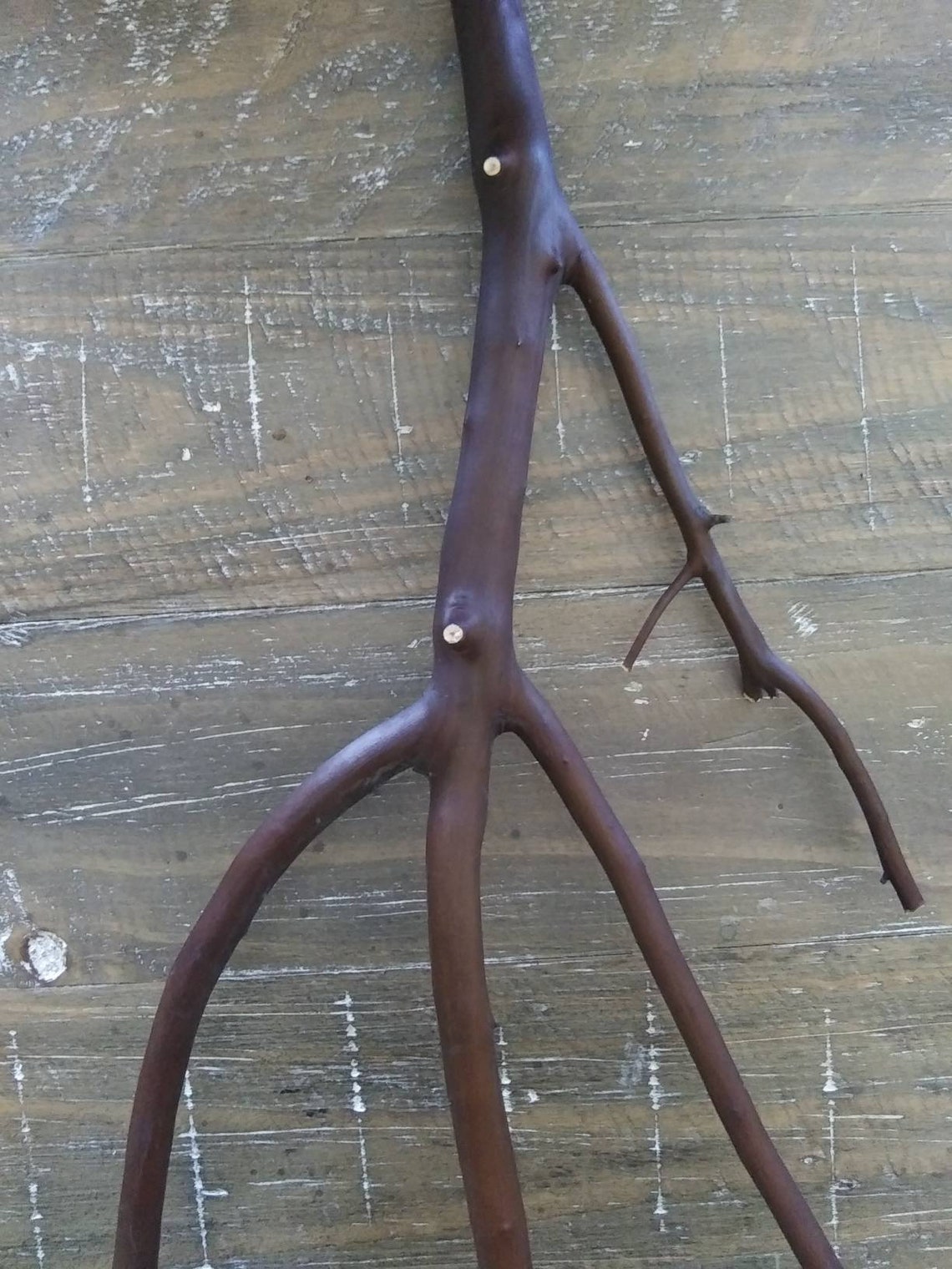 Manzanita wood branch natural wood fits in Etsy