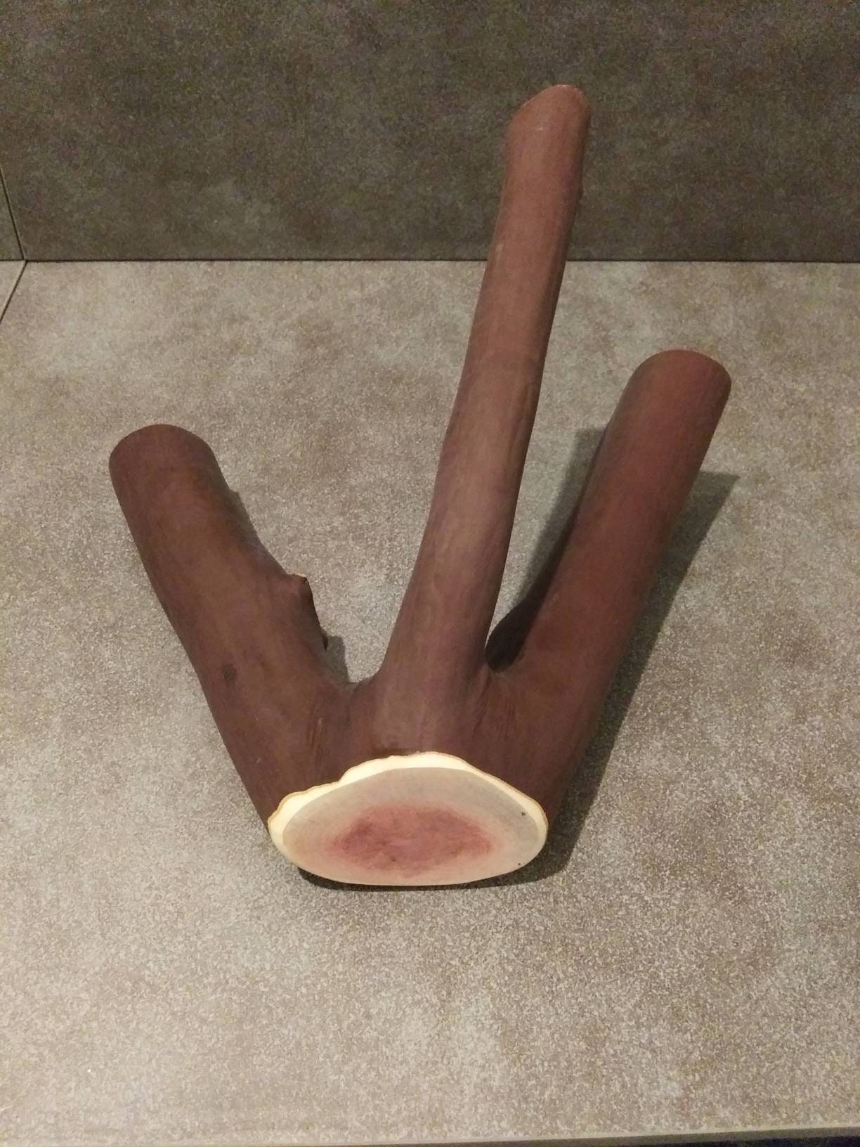 Manzanita wood branch natural wood fits in Etsy