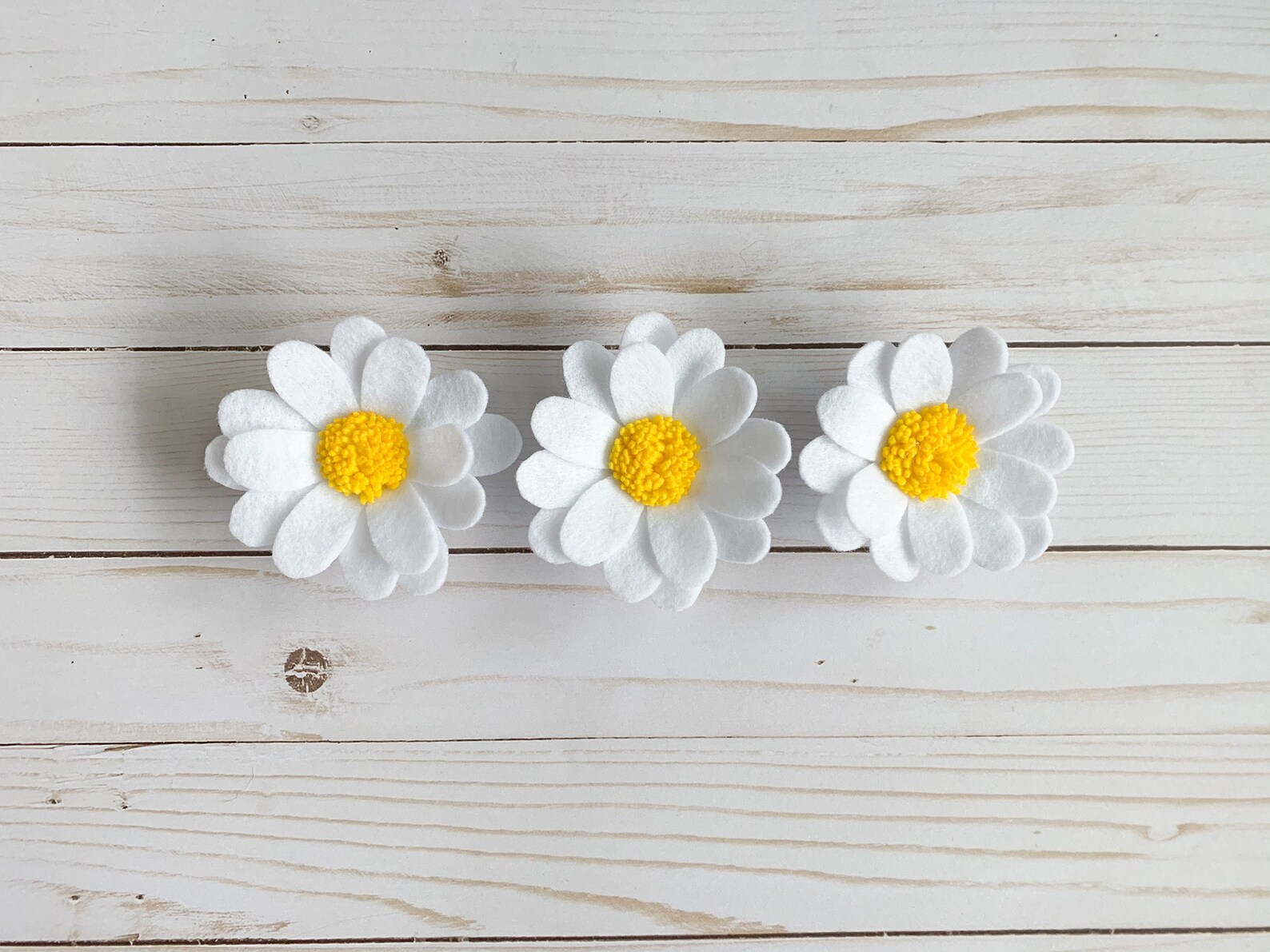 Daisy Set of 3 Daisy Felt Flower White and
