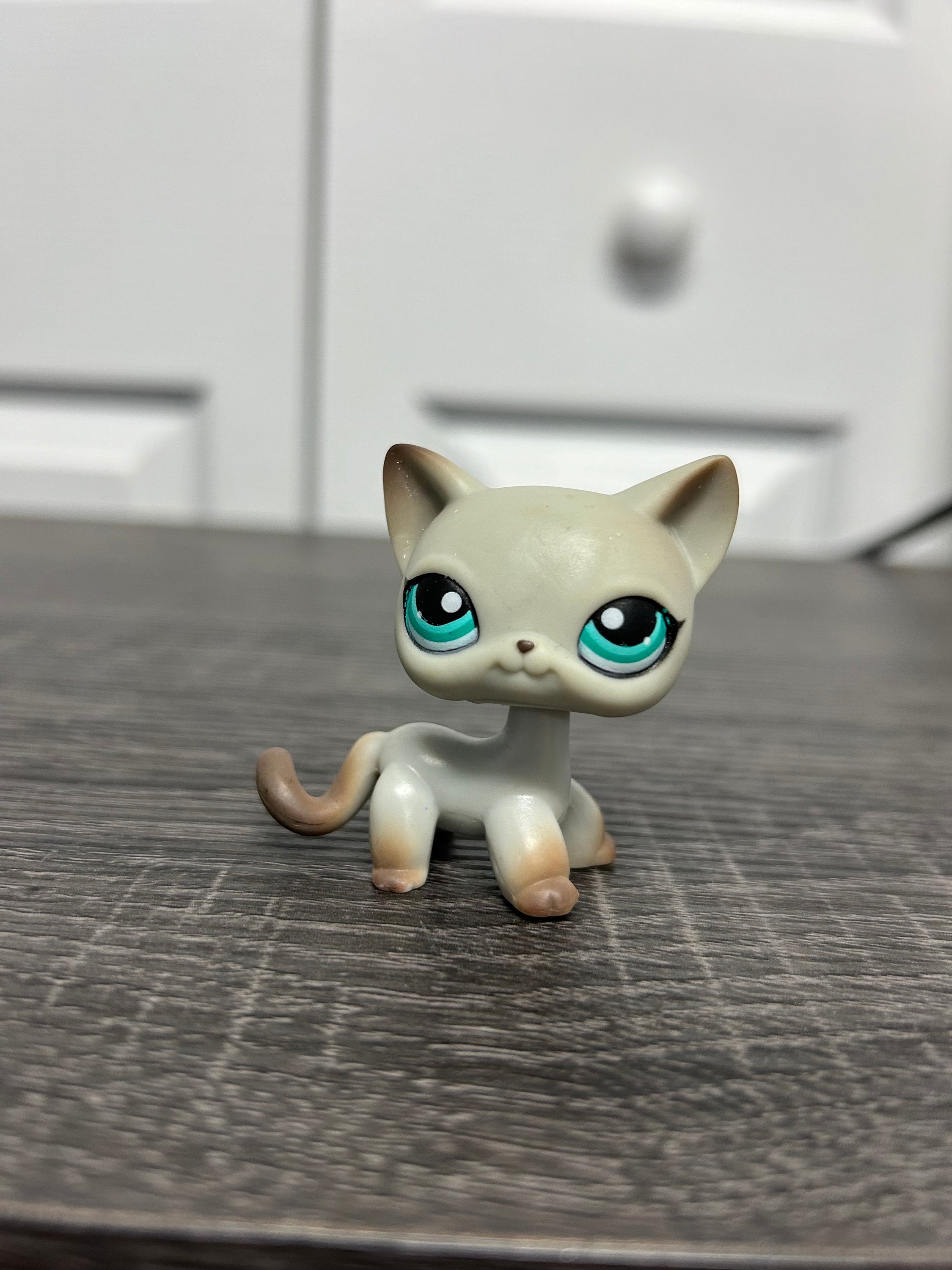 Gray Cat Littlest Pet Shop 391 Littlest Pet Shop Authentic LPS