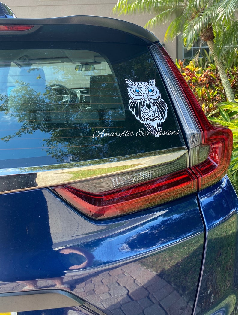 May include: A blue car with a white owl sticker on the back window. The sticker has blue eyes and the text "Amaryllis Expressions".