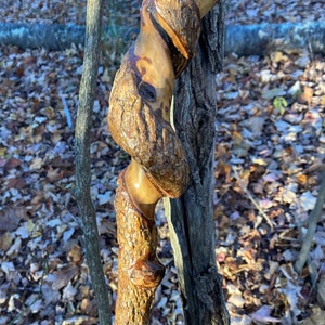 Wizard’s Staff/Walking Cane