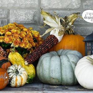2 Designs | Mockup Fall Background | Mock-up Digital Download JPG | Fall Autumn Thanksgiving Pumpkins Lantern Great To Display Your Products