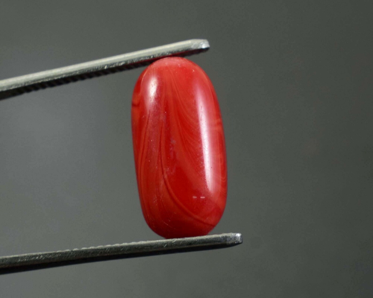 Natural Red Coral Healing Gemstone Moonga Gemstone Certified Etsy