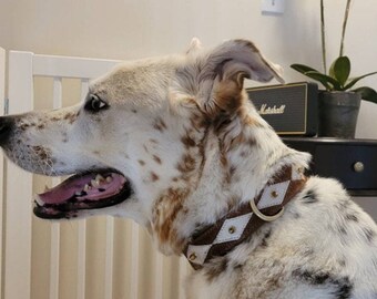 BlazingPaws Diamondhide Designer Cowhide Dog Collar, Handmade Rustic Boy Dog Collar, Spiked, Thick Strong Soft Suede Padded for Male Dogs