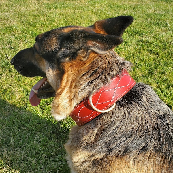 BlazingPaws Redslinger Big Dog Collar, 2 inch Wide Designer Dog Collar, Red Leather Collar, Black Suede Padding, Large, XL Extra Large Size
