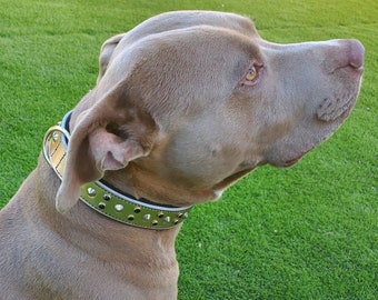 BlazingPaws Gangsta Dawg Gold Dog Collar, Designer Luxury Leather Dog Collar, Fancy Crystal Stud Hip Hop Design, Thick Metallic Gold Leather