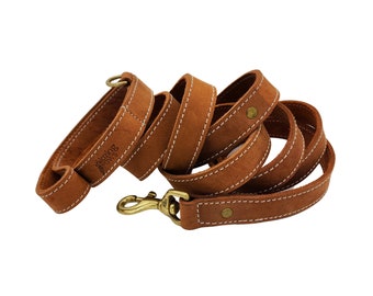 BlazingPaws Vibrania 10 Ft Long x 1 inch Wide Super Soft Leather Dog Leash in Tan, Brown and Teal Green for Training Large Dogs