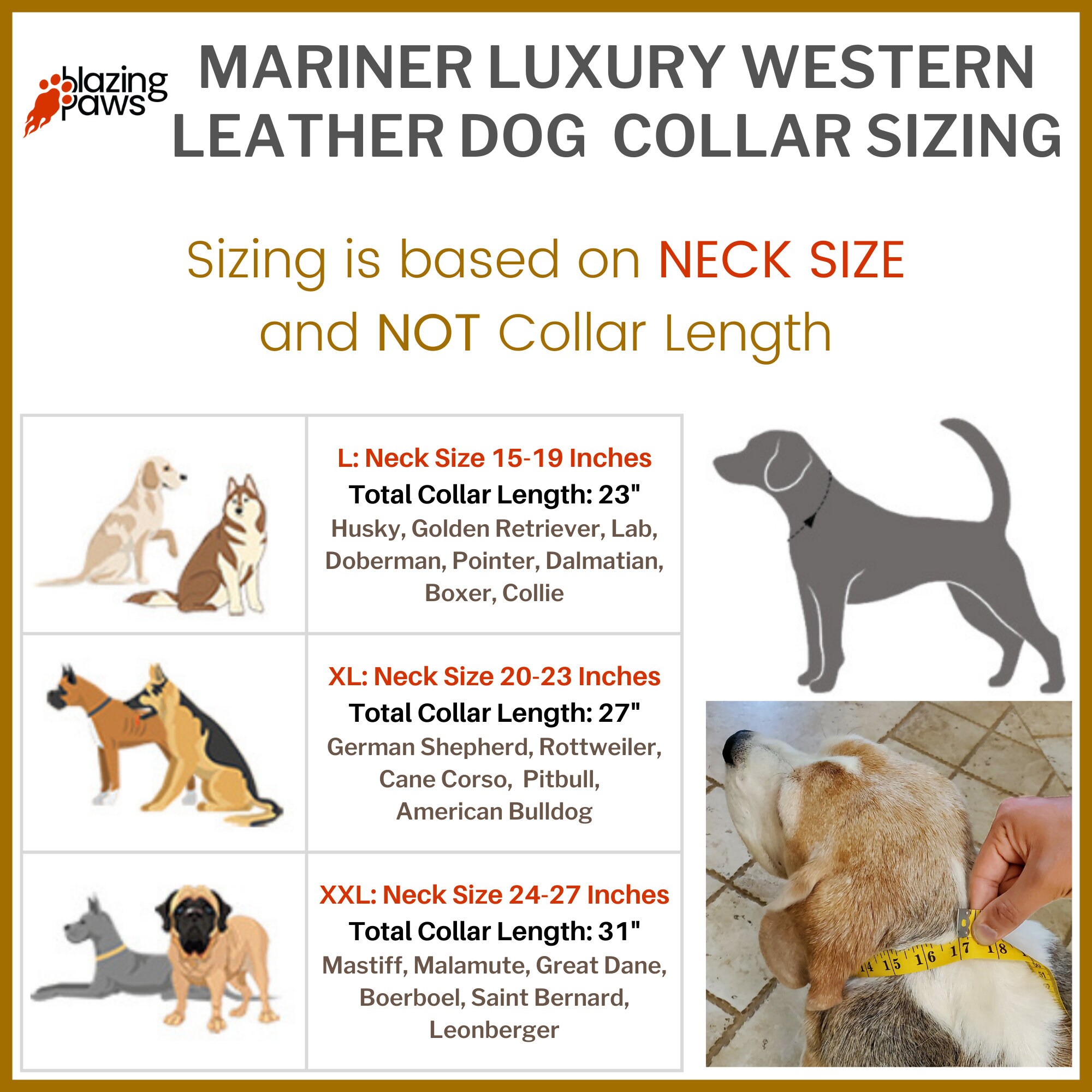 Golden retriever hotsell neck size