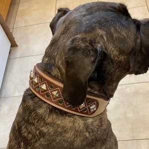May include: A brown dog wearing a tan leather collar with silver studs and green gemstones.