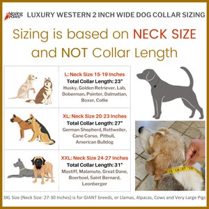 May include: Chart showing dog collar sizing based on neck size, not collar length.  The chart includes four sizes: L (15-19 inches), XL (20-23 inches), XXL (24-27 inches), and 3XL (27-30 inches).  Each size includes a list of dog breeds that fit within that size range.