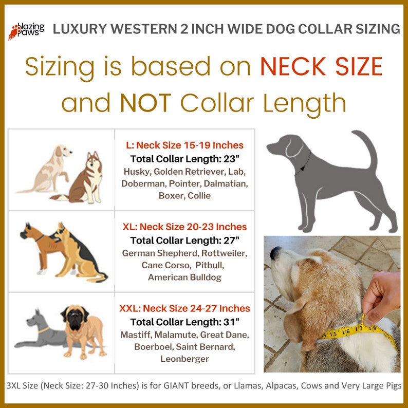 May include: Chart showing dog collar sizing based on neck size, not collar length.  The chart includes four sizes: L (15-19 inches), XL (20-23 inches), XXL (24-27 inches), and 3XL (27-30 inches).  Each size includes a list of dog breeds that fit within that size range.