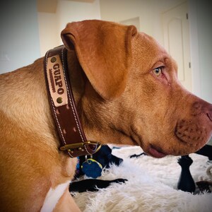 Puede incluir: Un collar de perro de cuero marr&oacute;n con una hebilla de lat&oacute;n y una placa de identificaci&oacute;n que dice "GUAPO".