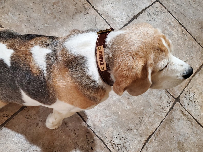 Puede incluir: Un collar de perro de cuero marr&oacute;n con una hebilla de lat&oacute;n y una placa rectangular con el nombre "SIMBA".