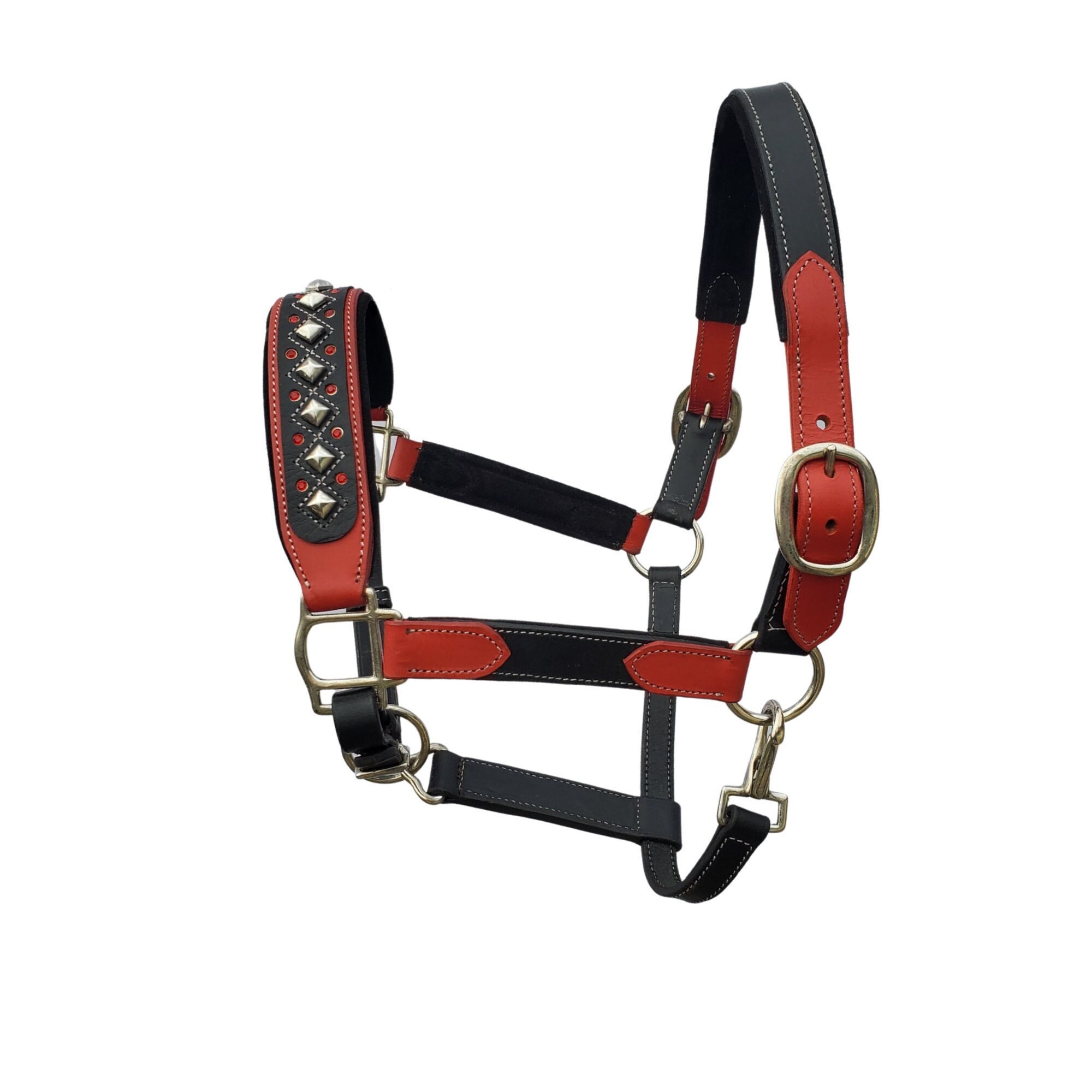 レアREGAL 2021 year model Horse Leather レアREGAL 2021 year model Horse Leather