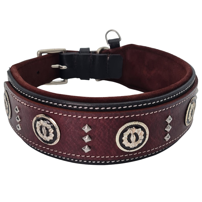 May include: A brown leather dog collar with silver accents and studs. The collar has a black leather lining and a white stitching detail.