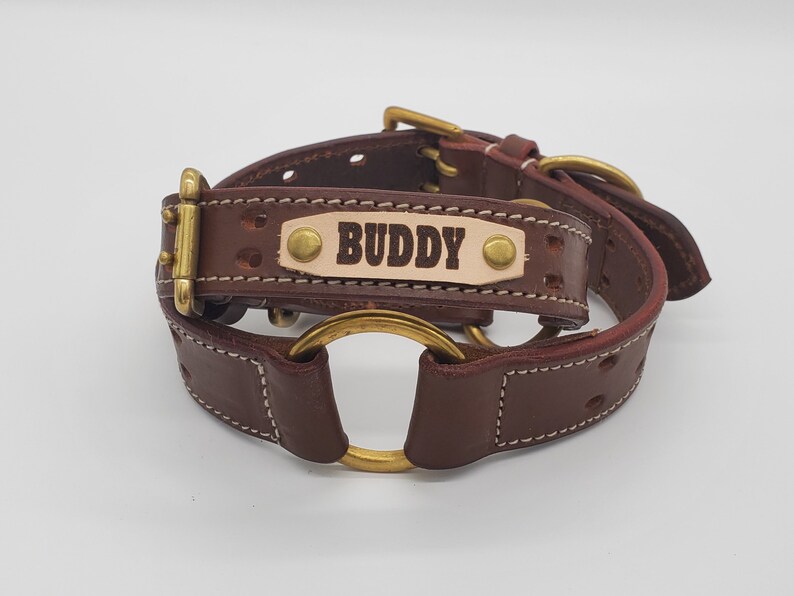Puede incluir: Collar de perro de cuero marr&oacute;n con una hebilla de lat&oacute;n y una placa de nombre que dice "BUDDY".