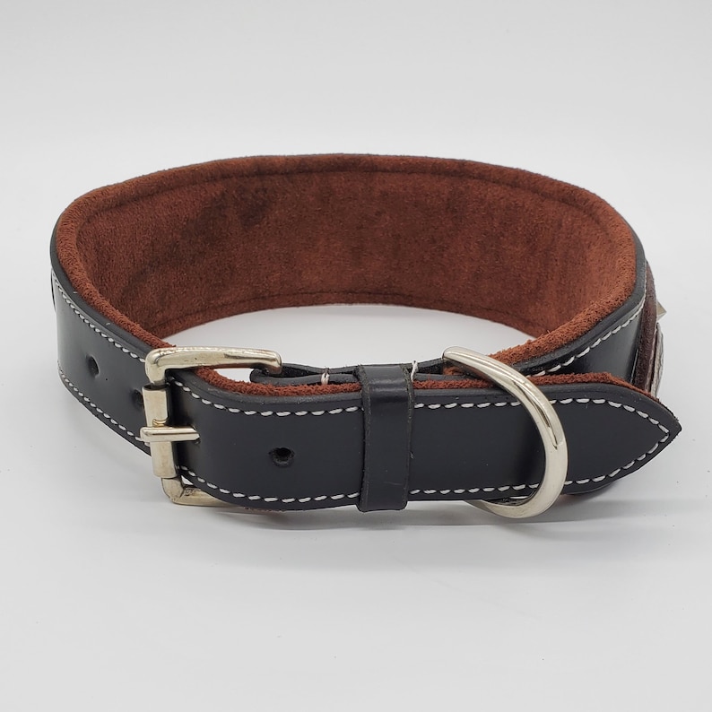 May include: Black leather dog collar with a brown suede lining and a silver buckle. The collar has white stitching around the edges.