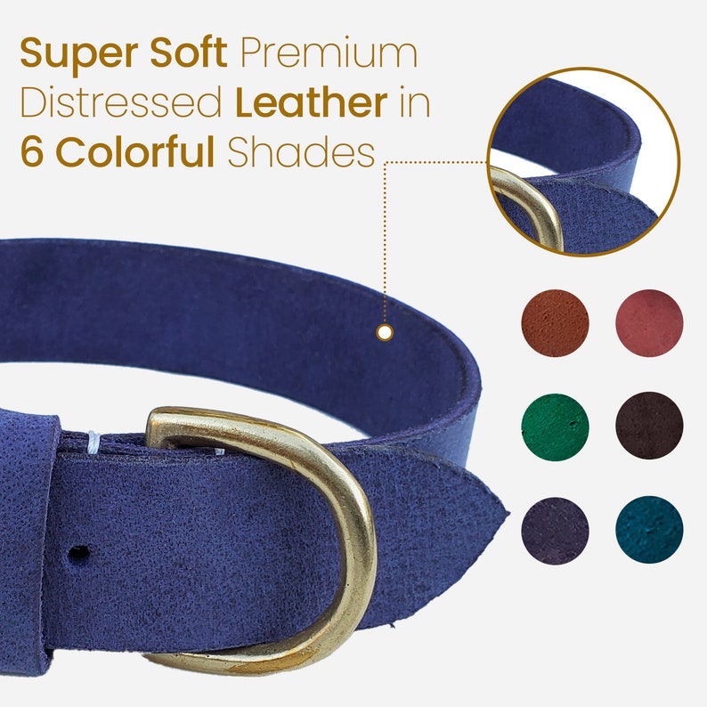 May include: A blue leather dog collar with a brass buckle. The collar is distressed and has a soft, suede-like texture.  Super Soft Premium Distressed Leather in 6 Colorful Shades.