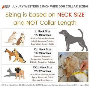 May include: A chart showing dog collar sizing based on neck size, not collar length. The chart shows different dog breeds and their corresponding neck sizes in inches: L (15-19 inches), XL (19-23 inches), XXL (23-27 inches), and 3XL (27-30 inches).