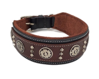 May include: Brown leather dog collar with silver studs and decorative metal accents. The collar has a black leather lining and a white stitching detail.