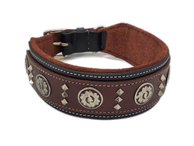 May include: Brown leather dog collar with silver studs and decorative metal accents. The collar has a black leather lining and a white stitching detail.