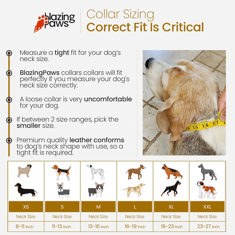 May include: A chart showing different dog collar sizes with corresponding neck sizes in inches. The chart includes images of dogs wearing collars, with the text "Blazing Paws" and "Collar Sizing Correct Fit Is Critical".