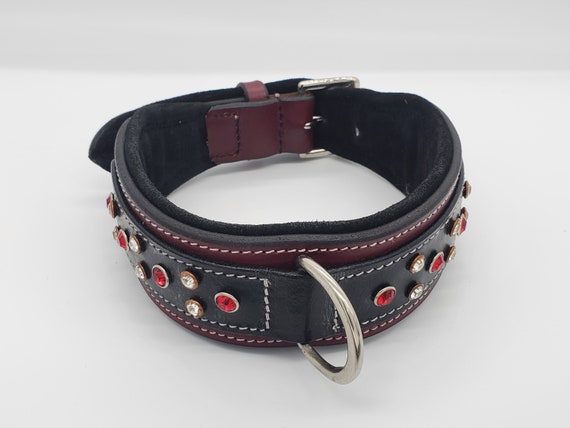 Xxl dog collar outlet