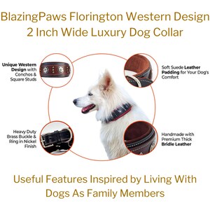 May include: A brown leather dog collar with silver conchos and square studs. The collar is 2 inches wide and features a heavy-duty brass buckle with a nickel finish. The collar is padded with soft suede leather for comfort. The collar is handmade with premium thick bridle leather. "Blazing Paws Florington Western Design 2 Inch Wide Luxury Dog Collar" is written in the image.
