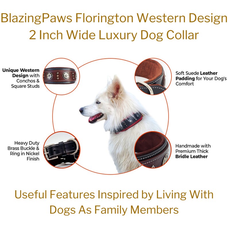 May include: A brown leather dog collar with silver conchos and square studs. The collar is 2 inches wide and features a heavy-duty brass buckle with a nickel finish. The collar is padded with soft suede leather for comfort. The collar is handmade with premium thick bridle leather. "Blazing Paws Florington Western Design 2 Inch Wide Luxury Dog Collar" is written in the image.