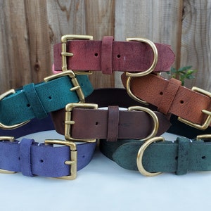 May include: Six leather dog collars in various colors, including teal, brown, purple, and red. Each collar has a brass buckle.