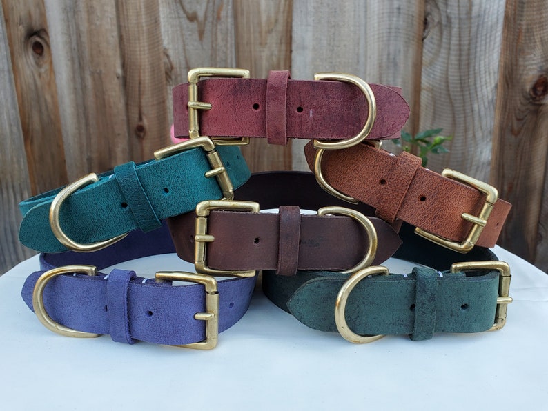 May include: Six leather dog collars in various colors, including teal, brown, purple, and red. Each collar has a brass buckle.