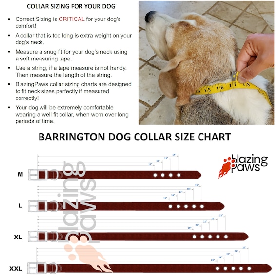 What size collar for my dog? – HINDQUARTERS