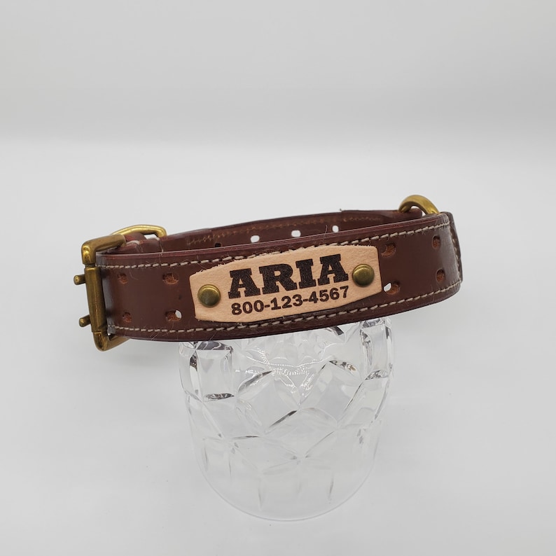 Puede incluir: Collar de perro de cuero marr&oacute;n con hebilla de lat&oacute;n y una placa de nombre personalizada que dice "ARIA 800-123-4567".
