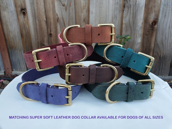 10 foot hotsell leather dog leash