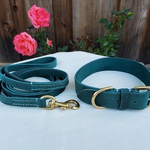 May include: A teal blue leather dog collar and matching leash with brass hardware.