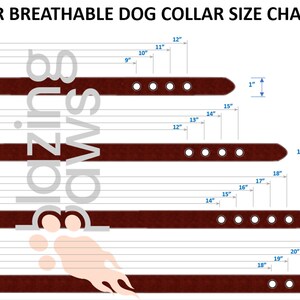 Puede incluir: Tabla de tallas para un collar de perro de cuero marr&oacute;n con hebilla ajustable y varios agujeros. La tabla muestra las tallas S, M, L y XL con las medidas de cuello correspondientes en pulgadas.