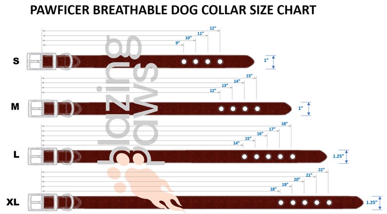 Puede incluir: Tabla de tallas para un collar de perro de cuero marr&oacute;n con hebilla ajustable y varios agujeros. La tabla muestra las tallas S, M, L y XL con las medidas de cuello correspondientes en pulgadas.