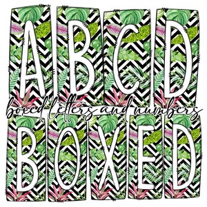 Chevron Monsterra Succulent Box Doodle Letters, Western Hand Drawn Doodle Alphabet Set, Sublimation Designs PNG - 2178