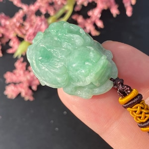 Natural Grade A Burmese Jadeite Jade, Green Jade Dragon Turtle Pendant(绿翡翠龙龟挂件）