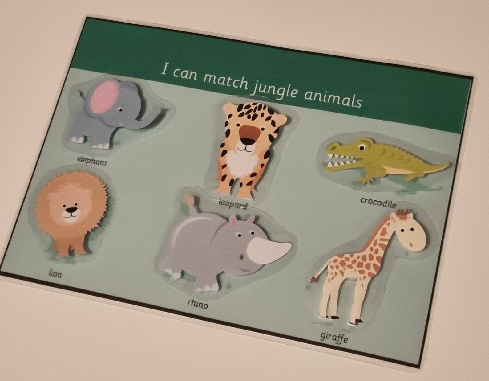 Matching Jungle Animals Learning Sheet Laminated A5 Size | Etsy