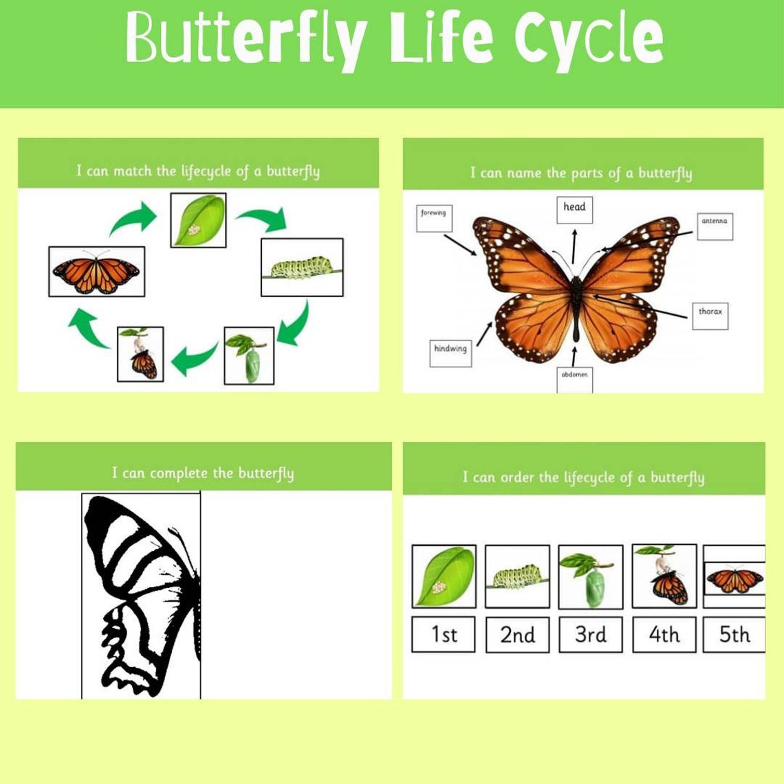 Butterfly Lifecycle Learning Sheets eyfs ks1 ks2 STEM Etsy