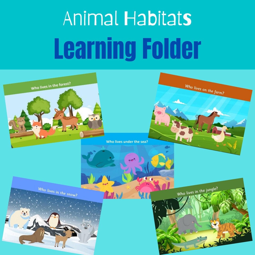Animal Habitats Learning Folder Early years eyfs STEM Etsy