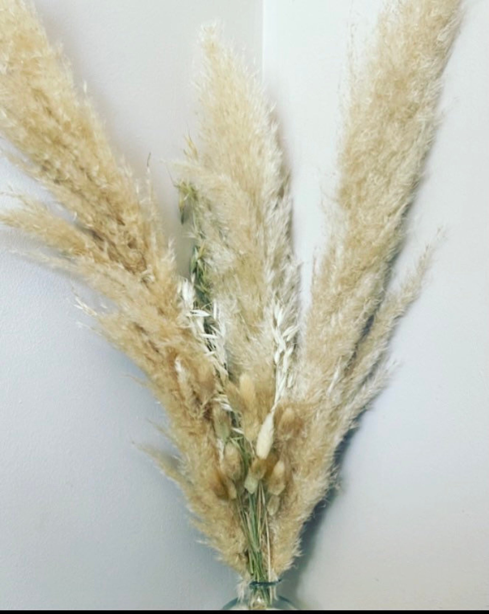 Pampas grass and bunny tail arrangement Etsy