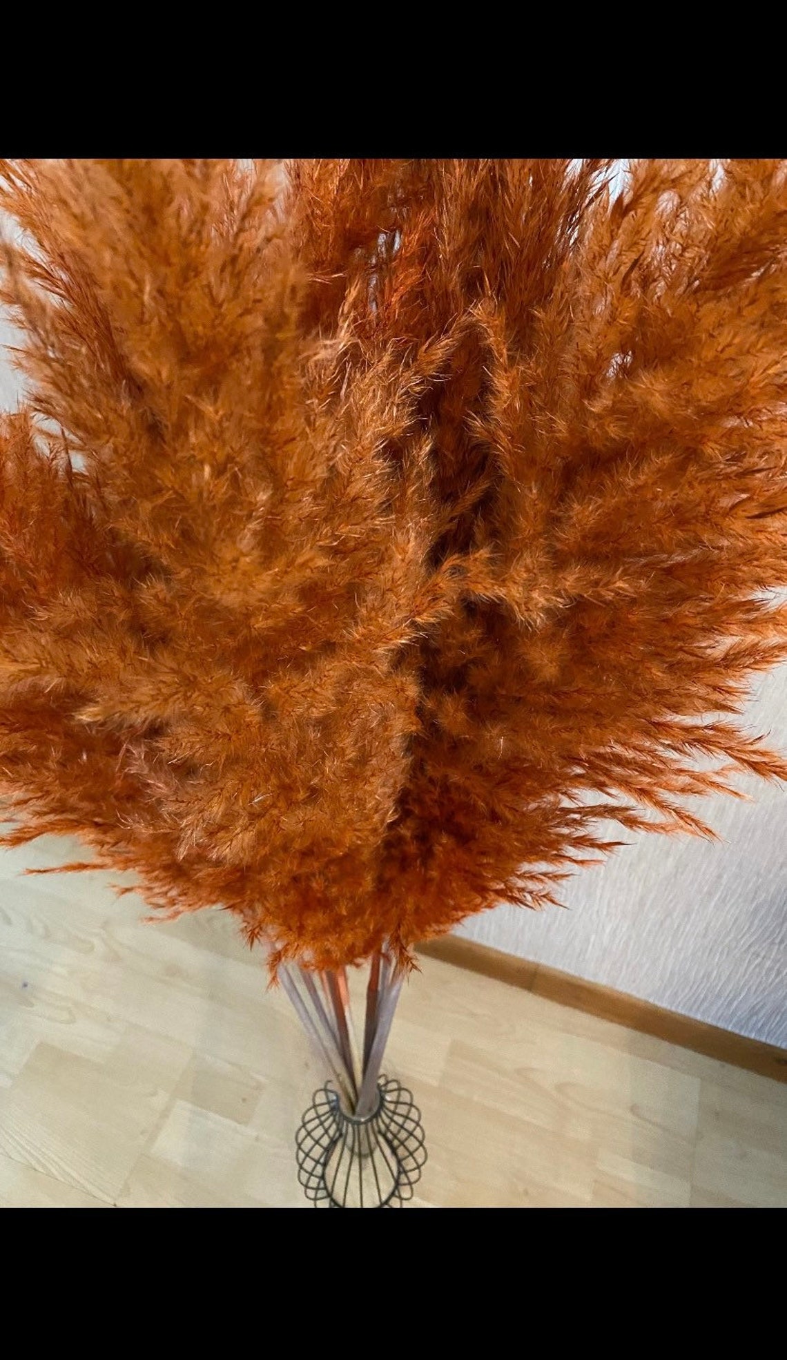 Everlasting Burnt orange pampas grass 100cm long Etsy