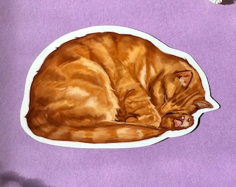 My Cat - Sleepy Orange Cat Vynil Sticker, Laptop,Tablet and Phone Decal, WaterProof - 3inches