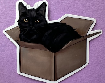 My Cat in a Box, Black Cat Vinyl, Cute Cat Sticker, Laptop, Tablet and Phone Sticker, Laptop Decal, Popular Sticker, Gifts for Cat Lovers
