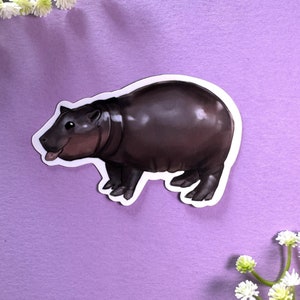 Pegatina de Moo Deng, meme de hipopótamo, bonita pegatina de hipopótamo, bebé pigmeo, bebé hipopótamo, calcomanía para computadora portátil, celebridad hipopótamo de Tailandia, amante de los hipopótamos