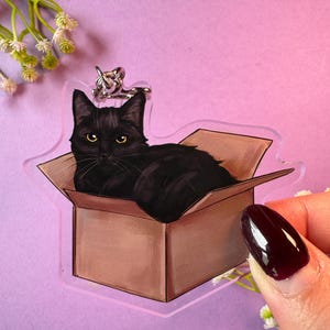 Meine Katze in einer Box, Katze in einer Box Schlüsselanhänger, Cute Cat Schlüsselanhänger, Katze Schlüsselanhänger - 3 in